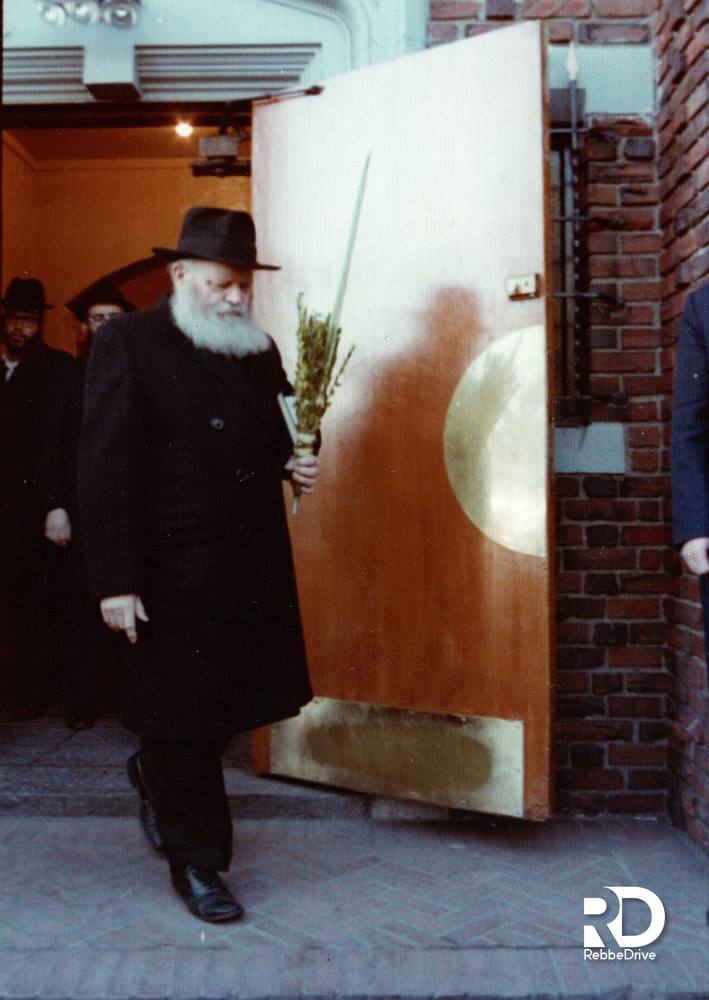 Stepping out with the lulav and esrog