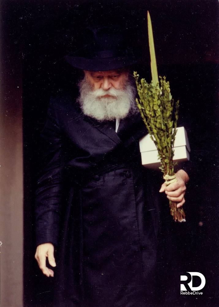 El Rebe con el lulav y el etrog