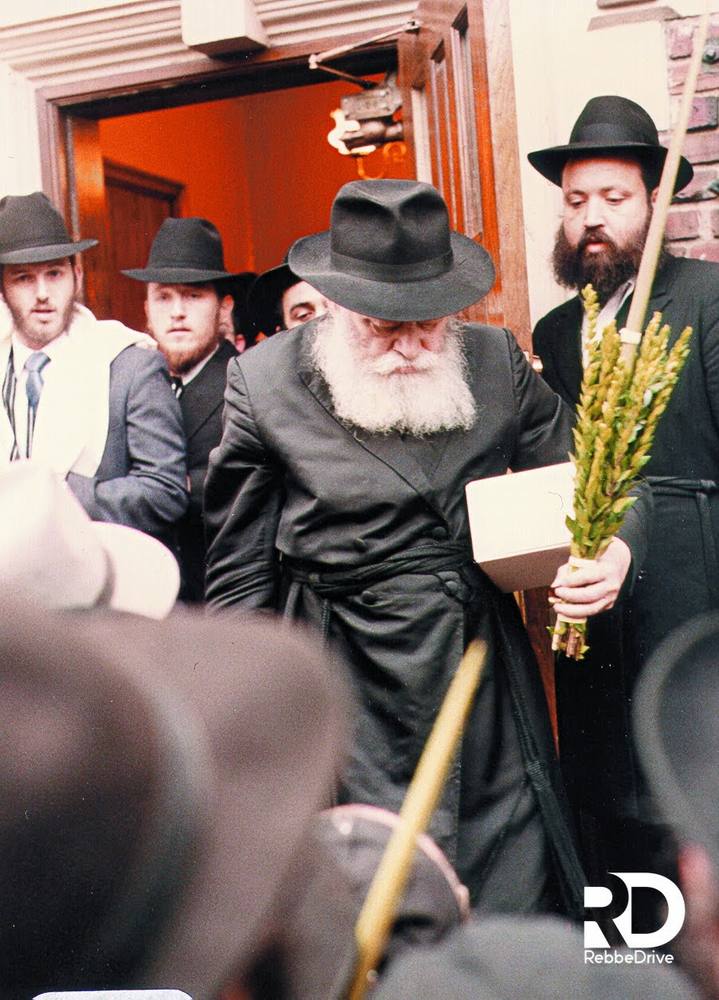 Avec le loulav, entouré de ’Hassidim