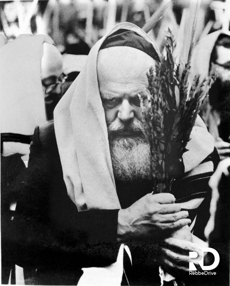 אוחז בארבעת המינים בשעת התפילה
