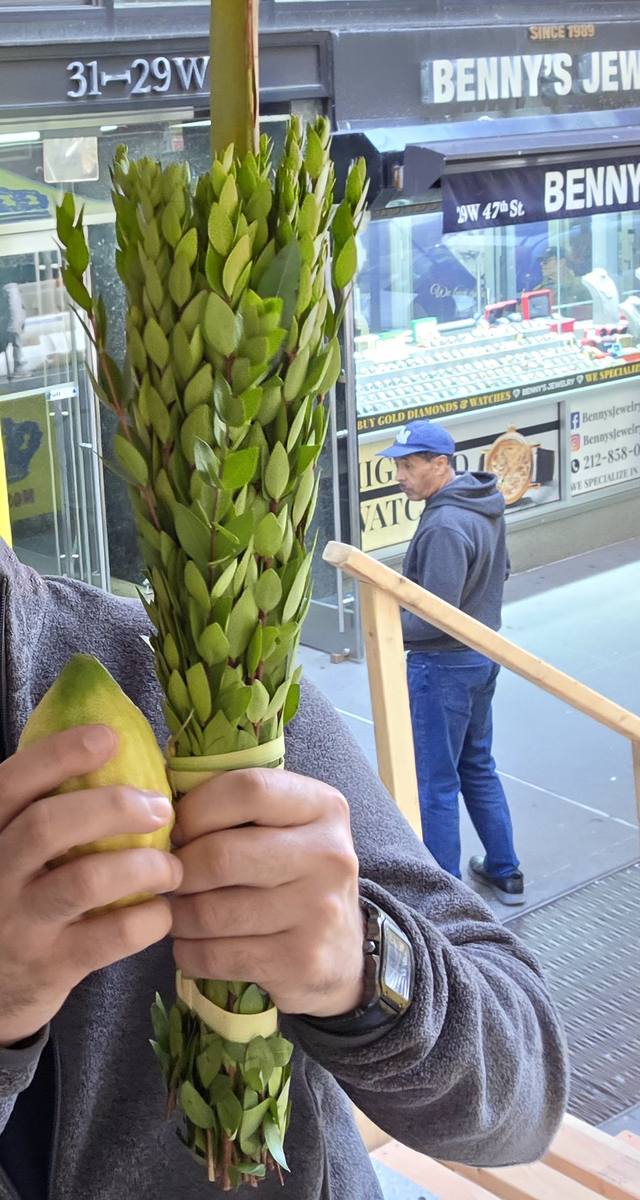 Two hands hold a lulav and an esrog together, on a Manhattan street.